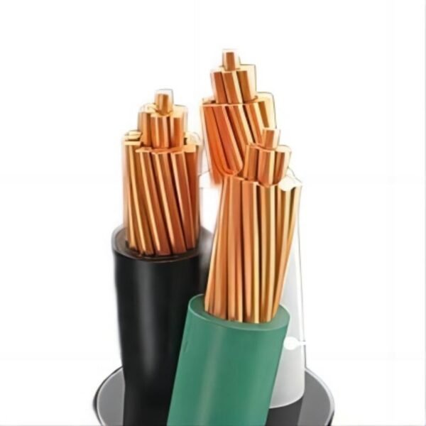 TT-30P to TT-30R 50FT RV Extension Cord - Image 3